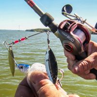 Saiba como trabalhar uma isca Spinner Bait