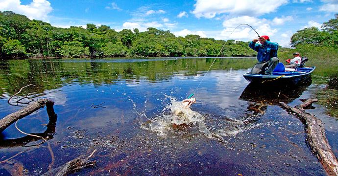 Sr. e Sra. Nakamura - Pescaria na Amazônia. 